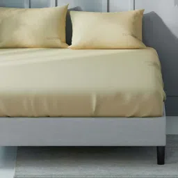 Nautica Compass-400 Yellow Cotton 400 TC King Size Bedsheet With 2 Pillow Covers image 3