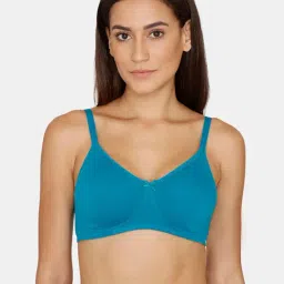 Zivame Harbor Blue Non-wired Non-padded T-Shirt Bra-picture-33