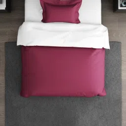 Spaces Hygro Solid Violet 350 TC Cotton Single Bed Quilt image 3