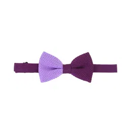 Alvaro Castagnino Purple & Lavender Colourblocked Patterned Bow Tie-picture-32