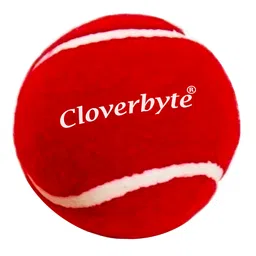 CLOVERBYTE Junior Cricket kit 5 Number Bat With Stump Tennis Ball & Cover For Junior- Red image 3