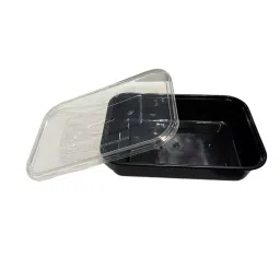 GENERIC Rectangle Plastic Container 1000 ml (Pack of 100)-image-44