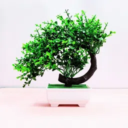 Dekorly Artificial Flowers & Plants With Pot-picture-11