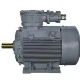 Bharat Bijlee Three Phase 1 HP 2 Pole Foot Mounted IE2 General Purpose Induction Motor, MD08021300000-picture-37
