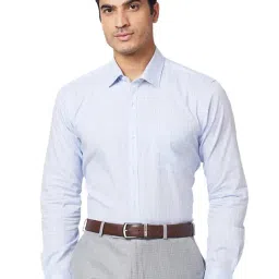 Park Avenue Sky Blue Slim Fit Check Shirt-picture-17