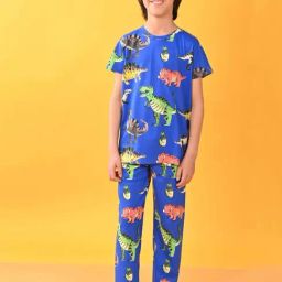 Anthrilo Kids Blue Cotton Printed T-Shirt & Trouser-picture-23