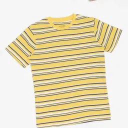 Pantaloons Junior Boys Aspen Gold Striped T-Shirt-image-20