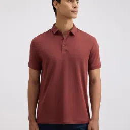 Pepe Jeans Brown Cotton Regular Fit Polo T-Shirt-picture-20