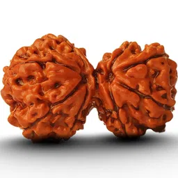 Divine souvenirs Unisex Brown Rudraksha Pendant image 1