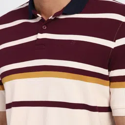 Peter England Striped Polo Collar Cotton T-shirt image 3