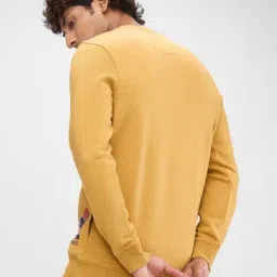 Spykar Khaki Slim Fit Sweatshirt image 2