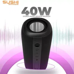 Just Corseca JST600 Black 4500mAh Sushi Grande Wireless Speaker image 3