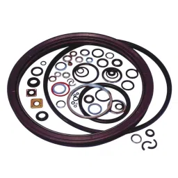 NOK SBB Type Nitrile Rubber Oil Seal, SBB50054020 image 2