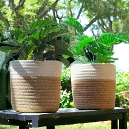 Plant Container Set-image-13