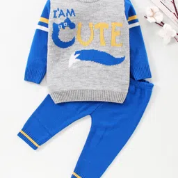 Babyhug Full Sleeves Sweater With Pant Set - Blue-image-59