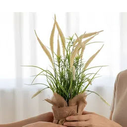 AARVI DECOR STUDIO Cream-Coloured 1 Pieces Artificial Foxtail Grass Arrangement image 5