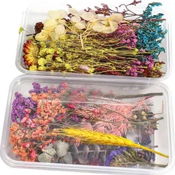 bolt bee Natural Dried Flowers Mix Multicolor Dried Sticks Artificial Flower with Pot-picture-22
