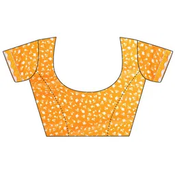 Leelavati Floral Printed Pure Chiffon Saree image 3