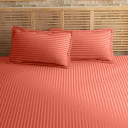 Sleeping Owls Rust Striped 210 TC King Bedsheet with 2 Pillow Covers-image-64