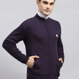 Monte Carlo Purple Regular Fit Texture Pullover image 4
