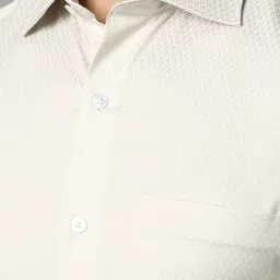 Louis Philippe Beige Cotton Regular Fit Texture Shirt image 4