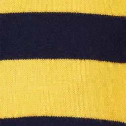Fame Forever by Lifestyle Kids Yellow & Navy Striped Full Sleeves Sweater image 4
