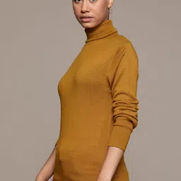 Roadster Turtle Neck Pullover image 2