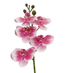 Pure Home and Living Pink Artificial Orchid in Cement Pot image 4