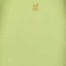 Baggit Green Extra Large Tote image 4