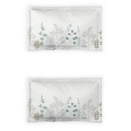 DDECOR Live beautiful Blue Cotton Floral 144 TC Single Flat Bedsheet with 2 Pillow Covers image 4