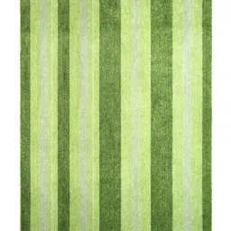 Saral Home Green Microfiber Striped Antiskid Carpet (120 x 180 cm)-picture-19