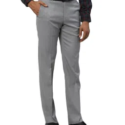 Park Avenue Grey Regular Fit Texture Trousers image 4