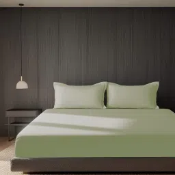 SANSAAR A D'DECOR BRAND LIVE CONSCIOUSLY Celadon 1 Bedsheet with 2 Pillow Covers (King)-picture-27