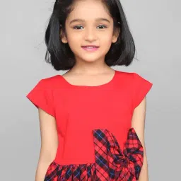 Zip Zap Zoop Girls Red Regular Fit Chequered Dress image 4