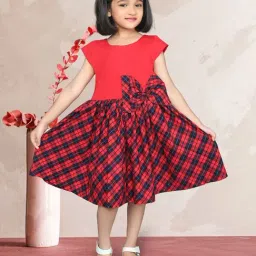 Zip Zap Zoop Girls Red Regular Fit Chequered Dress image 5