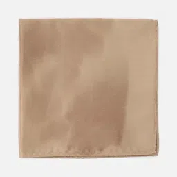 Van Heusen Beige Embroidered Tie with Pocket Square image 3