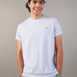 American Eagle Blue Regular Fit Striped T-Shirt-picture-23