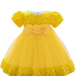 StyleCast x Revolte Embellished Applique Net Balloon Dress-picture-32