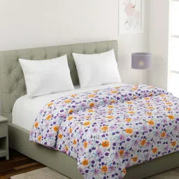 Klotthe Mild Winter Multicolor Cotton 210 GSM Single-Sized Dohar-image-29