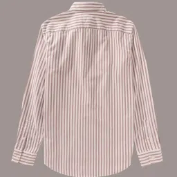 American Eagle Brown Slim Fit Striped Shirt image 4