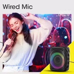 Zebronics v5.0 25 W Black Portable Wireless Speaker, Zeb-Buddy 500 image 3