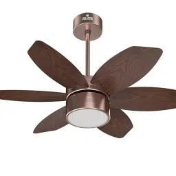 Polycab Superia SP03 Super Premium 800 mm Underlight Designer Ceiling Fan with Remote (Antique Copper Rosewood)-picture-17