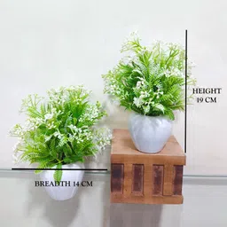 saf Set of 2 small white high quality plant with pot Bonsai Wild Artificial Plantwith Pot image 5