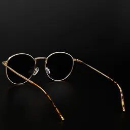 Irayz Unisex UV Protected Round Sunglasses Royal Pento- GLD-BLK image 4