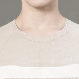 red tape Men Colorblock Round Neck Beige Sweater image 4