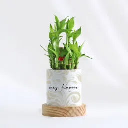 Zen Oasis - 2-Layer Bamboo Plant With Pot - Personalized image 5