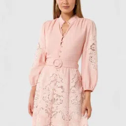 Forever New Pink Regular Fit Embroidered Dress-picture-26