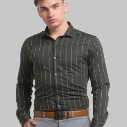 Park Avenue Green Cotton Slim Fit Striped Shirt-picture-15