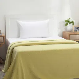 Maspar Yellow Cotton 200 TC Single Bed Cover-picture-19