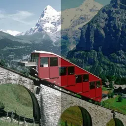 TOM FORD FT0816 51 Green Square Sunglasses image 5